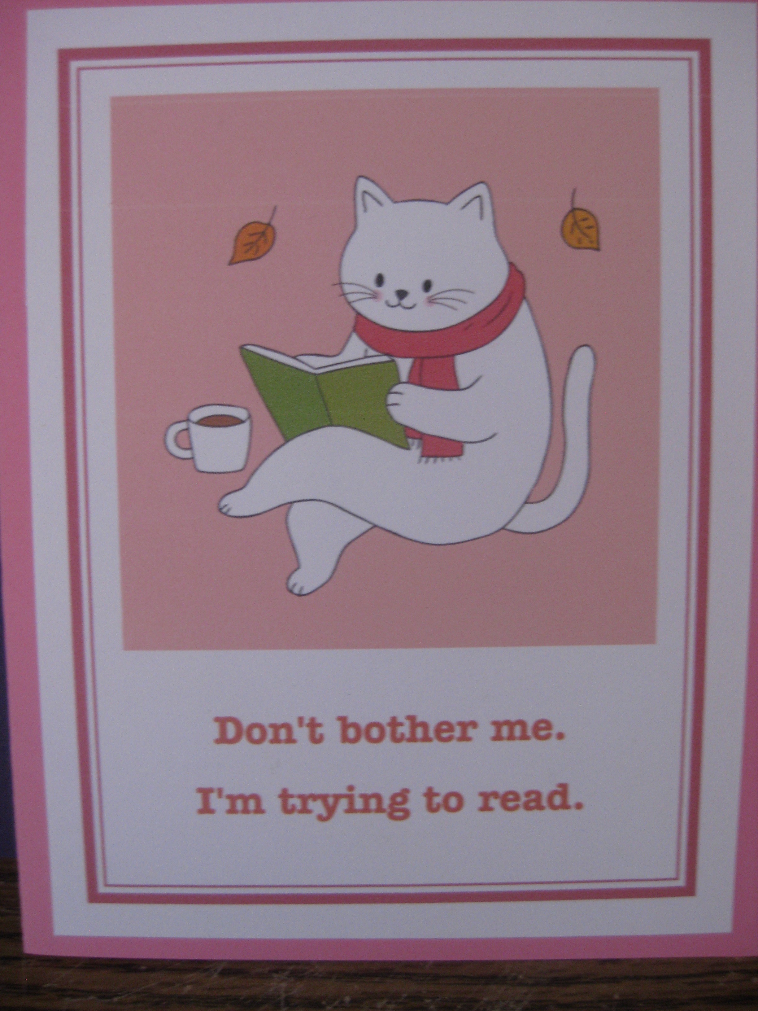 Cat reading