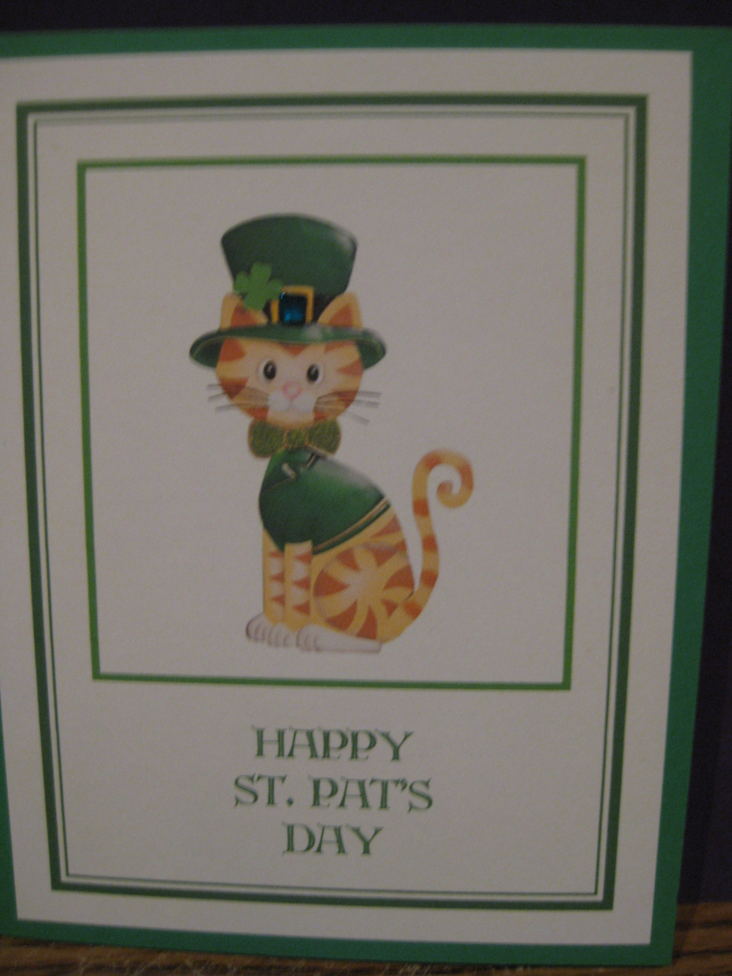 Cat/St. Pat's