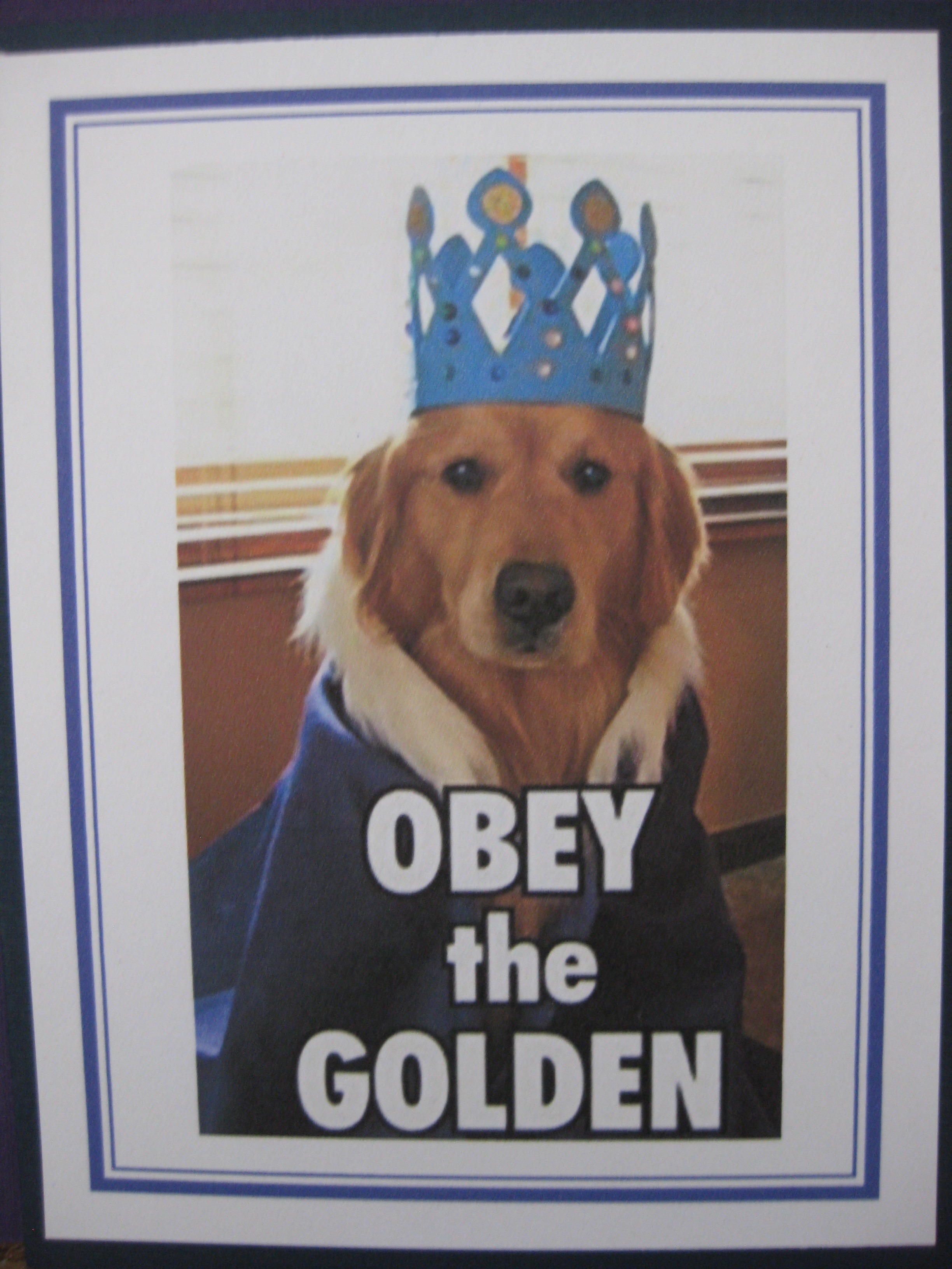 Obey the Golden