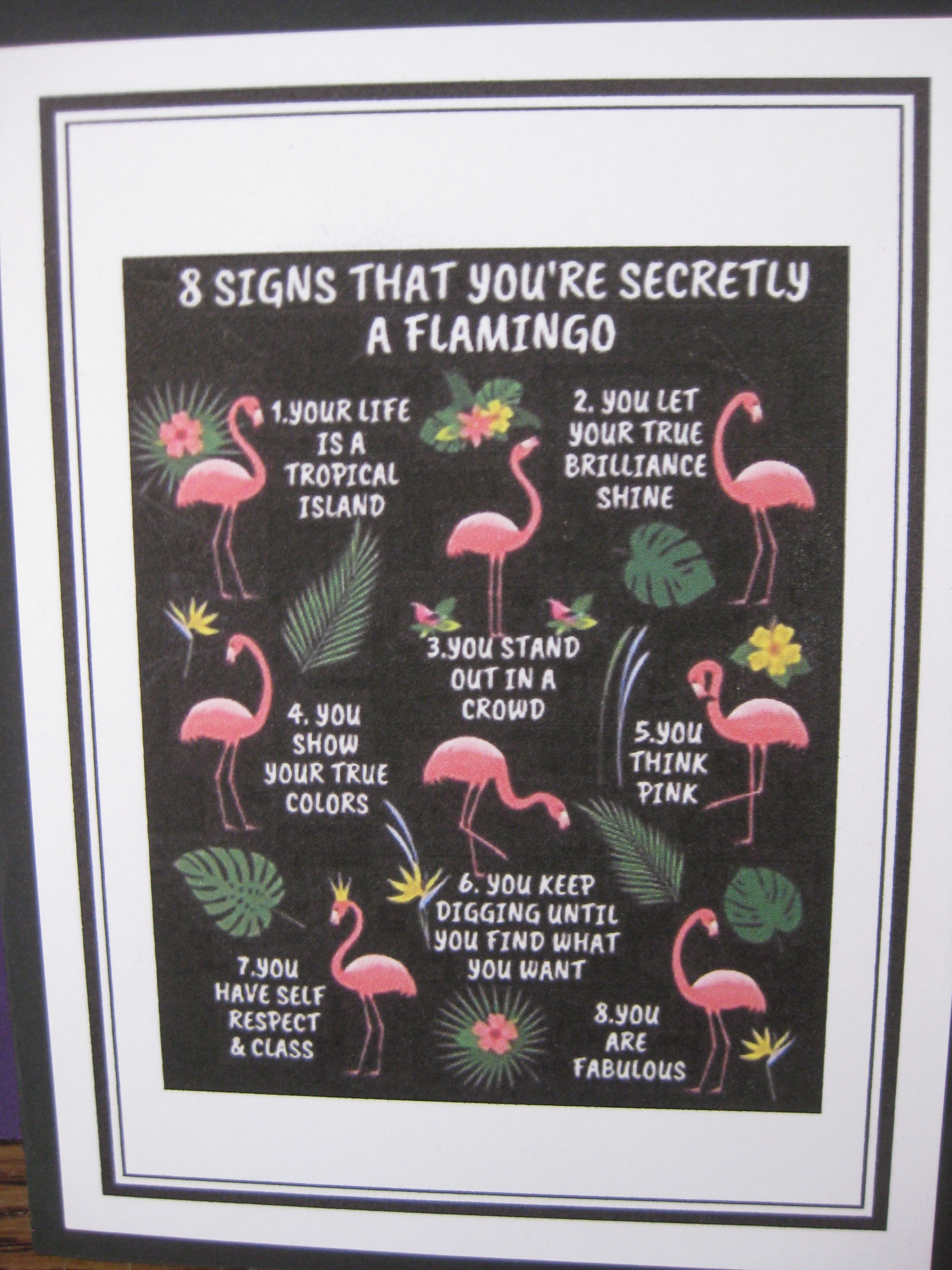 secret flamingo