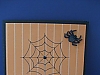 web/spider