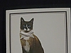 cat note card 11