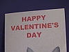 cat /valentine
