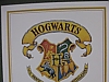 Hogwarts vs. Harvard