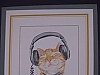 Cat/headphones