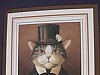 Gentleman cat