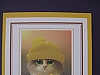 Cat/yellow hat
