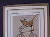 Cat/bicycle/mice
