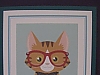 Male cat/glasses