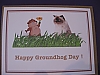 Groundhog/cat/shelly