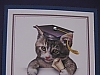 Cat/graduatiaon