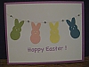Rabbits/Hoppy Easter