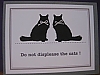 Do not displease cats