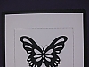 Butterfly/black