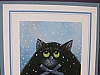 Black cat/snow