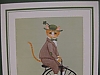 Cat on bike