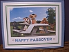 Dogs/Passover