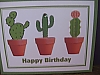 Cactus Cinco de mayo