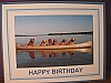 Goldens/canoe/birthday