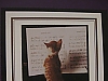 Kitten/piano