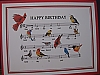 Sheet music/birds