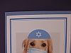 Dog/Passover